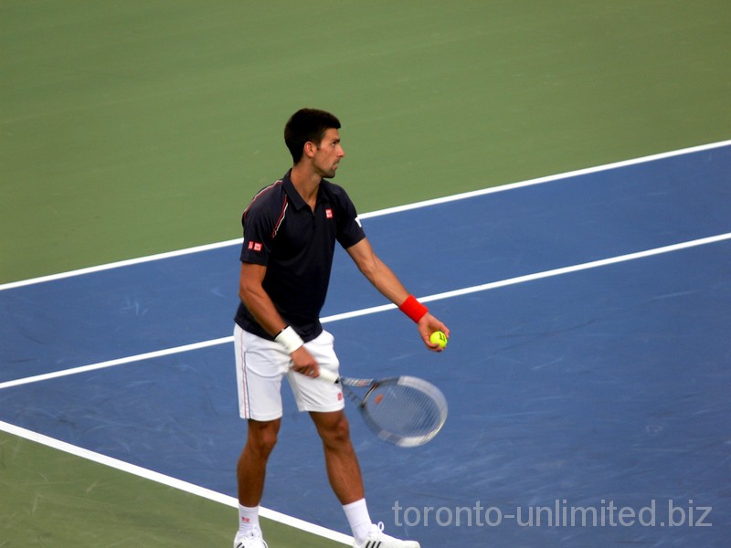 Novak Djokovic is preparing to serve during final match. August 12, 2012 Rogers Cup.
