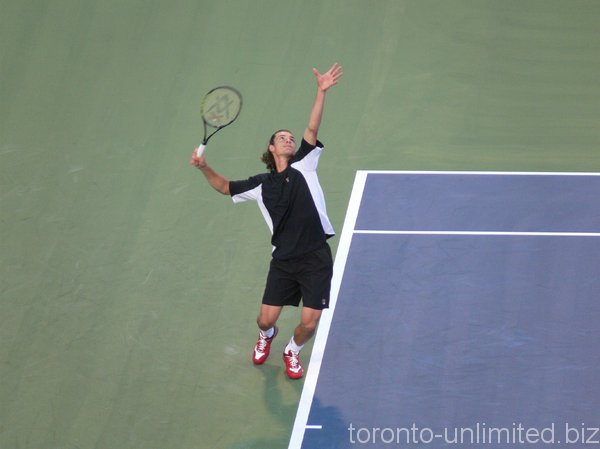 Frank Dancevic a Canadian player. 