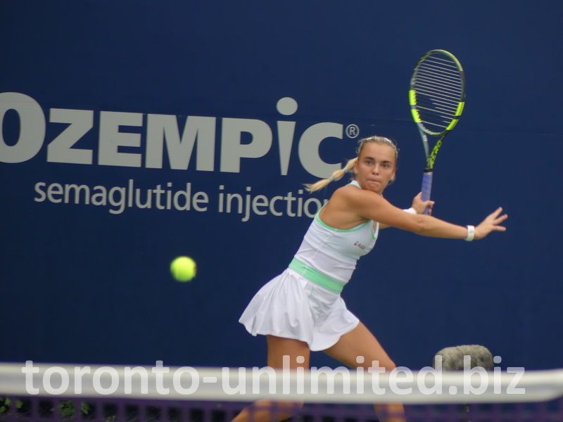 Here, the tennis ball is close to Sara Bejlek, ready to strike it.