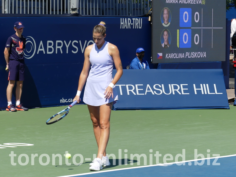 Karolina Pliskova is serving at the start of the match.
