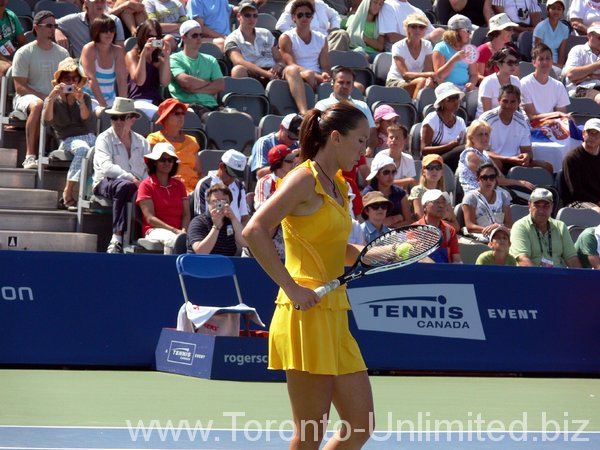 Jelena Jankovic in concentration.