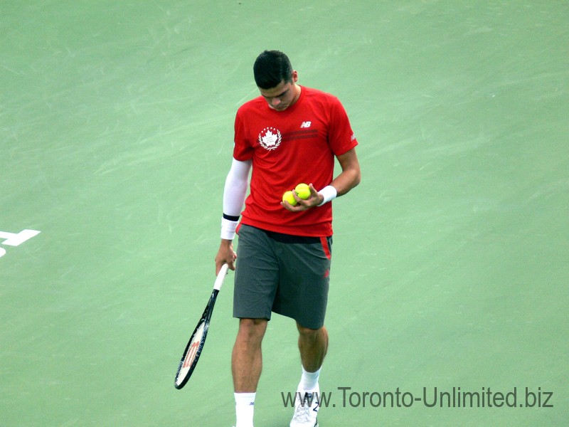 Milos Raonic Canada selecting ball to serve on Stadium Court August 6, 2014 Rogers Cup Toronto