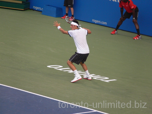 Bernard Tomic is preparing to hit the ball to Djokovic. August 8, 2012 Rogers Cup.