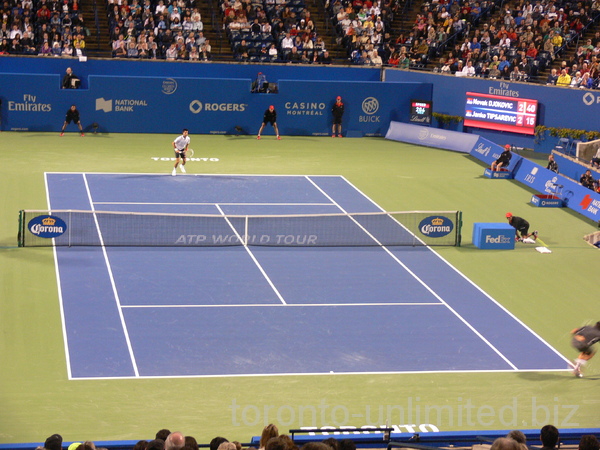 Tipsarevic Djokovic semifinal match can continue, August 11, 2012 Rogers Cup.