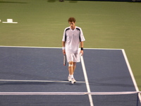 Andy Murray on the court.